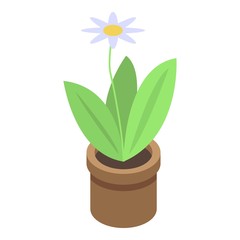 Home flower pot icon. Isometric of home flower pot vector icon for web design isolated on white background