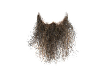 Disheveled brown beard isolated on white, close-up. Mens fashion - obrazy, fototapety, plakaty