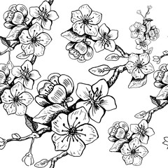 Cherry blossom pattern. Seamless vector background. Hand drawn vector illustration in sketch style. Black on transparent. Freehand sakura outline. Spring flowers on tree brunch.