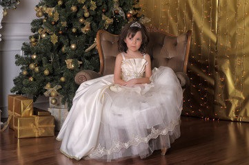 little cute girl young princess in a chic white Christmas dress