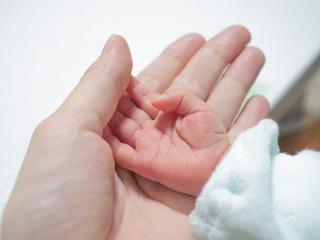 新生児　赤ちゃん　ボディパーツ　手
