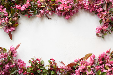 Border of blossom pink apple tree flowers of on white table. Copy space. Top view.