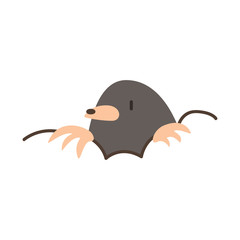 cute mole animal vector