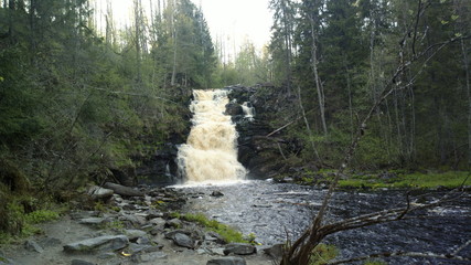 waterfall in the forest