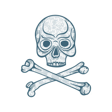 Skull. Hand drawn abstract skull and bones vector illustration. Engraving style skull vintage graphic. Part of set. 