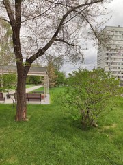 spring in the park