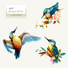 Halcyon on branches with leaves. Set of three birds isolated on white. Hand drawn, watercolor illustration. Design elements. Vector - stock.