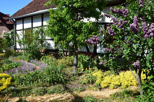 Bunter Bauerngarten vor altem Fachwerkhaus