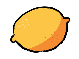 Hand drawn vector lemon fruit. Vintage style. Sketch illustration. Detailed citrus drawing