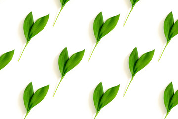 Pattern made of green leaves on a white background. Spring botanical concept.