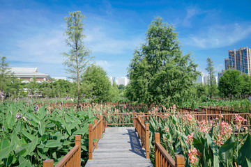 a Bridge in Wetland Park is one of Combination between Urban and Nature Taken in Xiamen at 11 AM            