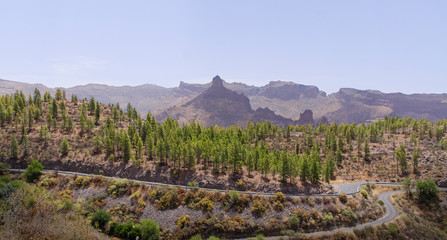 Huge old volcano crater in a volcanic island. Big mountains at the back and a top mountain in the middle. In the foreground, there are two roads and a forest of pines.