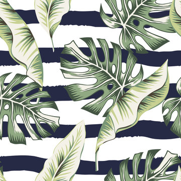 Tropical green banana, monstera palm leaves, striped background. Vector seamless pattern. Botanical illustration. Exotic jungle plants. Summer beach floral design. Paradise nature
