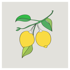 Pattern lemon on white and color background.