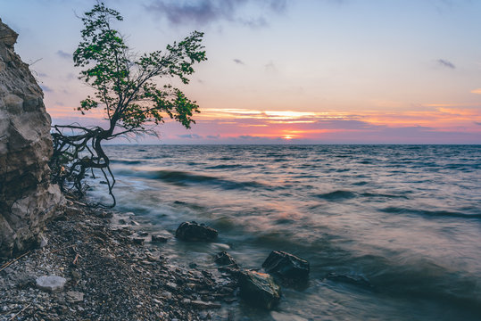 Single tree on the rocky shore at summer sunrise