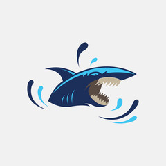 shark illustration of mascot logo color design vector