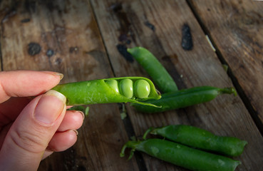 Delicious homemade thin pancakes on a beautiful plate. Russian kitchen