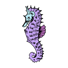 Sea horse sketch. Hand-drawn vector illustration. Isolated on white.