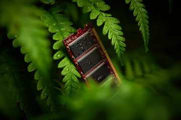Electronic component on a background of green ferns. 