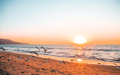 Beach photos taken in Redondo Beach CA 