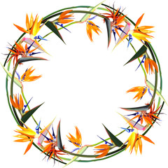Frame with Strelitzia Reginae, orange tropical flower bouquets. South African plant, so called crane flower or bird of paradise. Vector illustration, EPS 10