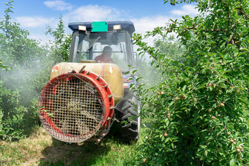 Tractor Sprays Insecticide or Fungicide in Apple Orchard - Spraying Mist Behind Tractor