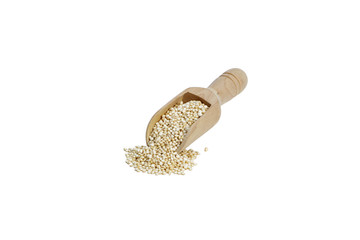 Organic quinoa grain in wooden spoon.