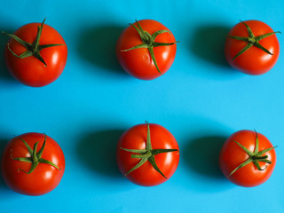 six red round tomato with shadows on a blue background.  red vegetables laid symmetrically