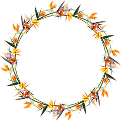 Frame with Strelitzia Reginae, orange tropical flower bouquets. South African plant, so called crane flower or bird of paradise. Vector illustration, EPS 10