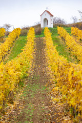 God's torture near Hnanice with autumnal vineyard, Southern Moravia, Czech Republic