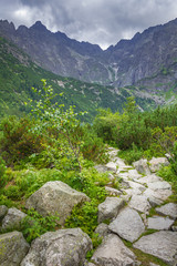 Fototapeta na wymiar Mountain trail lined with stones.