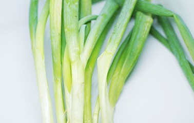 close up of green onion with white background.