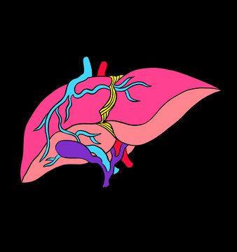 LIVER