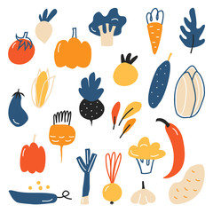 A large variety of vegetables. Cucumber, tomato, corn, eggplant, onion, peas, pepper, broccoli, pumpkin. Healthy organic foods. Vegetables isolated on a white background, vector illustration