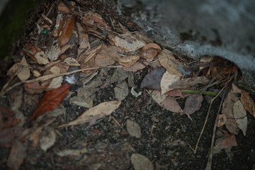 Fototapeta premium White old cement wall concrete backgrounds textured. Abstract vintage texture. Background from cracks, breaks, stains. Grunge cracks, damage