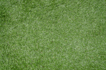 grass in the garden from bird eye view