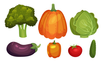 Mature Vegetables with Broccoli and Pumpkin Vector Set