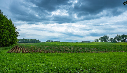 Fototapeta na wymiar Dark storm clouds over the field
