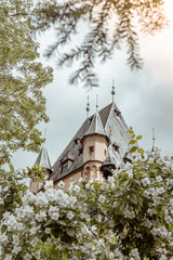 Old Castle in spring