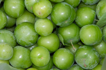 Green plum texture full background view