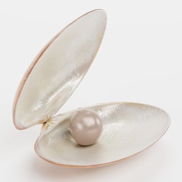 Realistic 3D render of Clam with Pearl