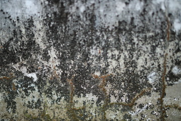 White old cement wall concrete backgrounds textured. Abstract vintage texture. Background from cracks, breaks, stains. Grunge cracks, damage