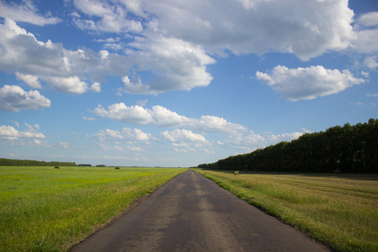 A road in a green field in rural Siberia.