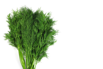A bundle of Fresh dill on white background close up