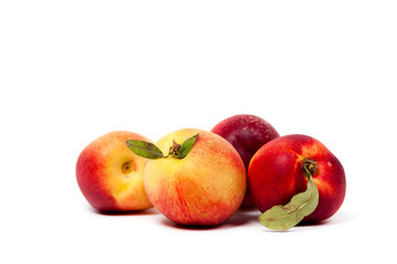 four ripe yellow and red nectarines with green leaves isolated on a white background
