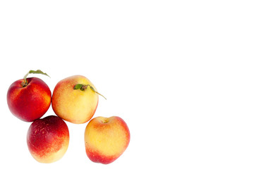 four ripe yellow and red nectarines with green leaves isolated on a white background