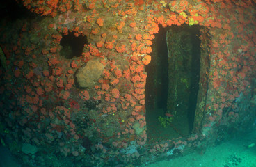 underwater wreck caribbean island Curacao
