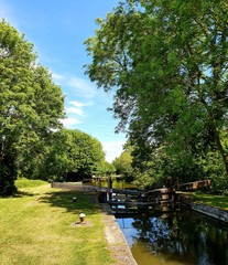 Obraz premium lake in the park