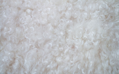 The furry close-up of the white Angora goat, like wool. The photos are partially clear