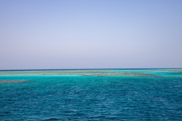 Obraz premium Multicolored corrals. Corral reefs over water in Jaz 'ir Jift n, egypt